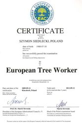 Treeworker Pozna